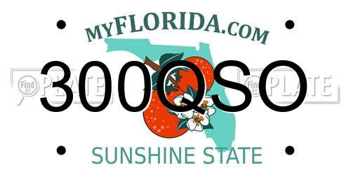 300QSO Florida License Plate