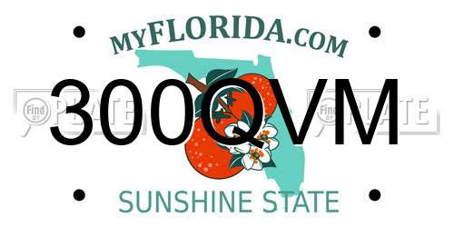 300QVM Florida License Plate