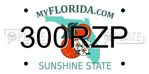 300RZP Florida License Plate