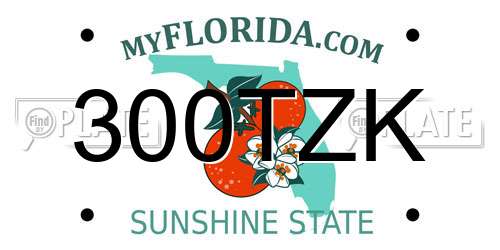 300TZK Florida License Plate