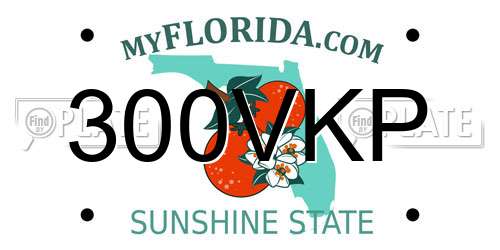 300VKP Florida License Plate