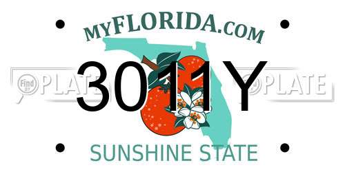 3011Y Florida License Plate