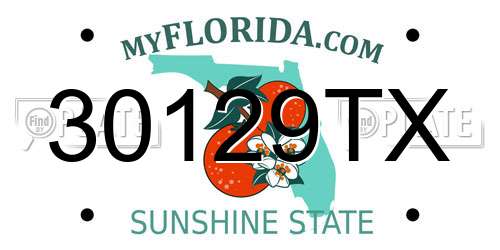 30129TX Florida License Plate