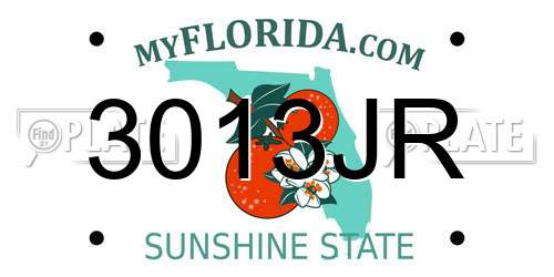 3013JR Florida License Plate