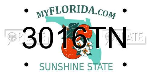 3016TN Florida License Plate