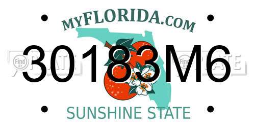 30183M6 Florida License Plate