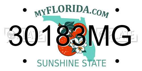 30183MG Florida License Plate