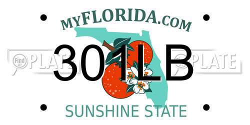 301LB Florida License Plate