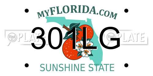301LG Florida License Plate