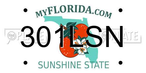 301LSN Florida License Plate