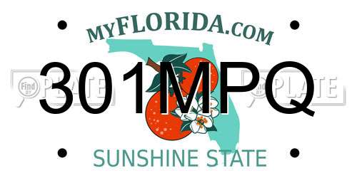 301MPQ Florida License Plate