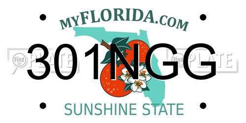 301NGG Florida License Plate