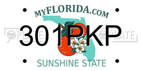 301PKP Florida License Plate