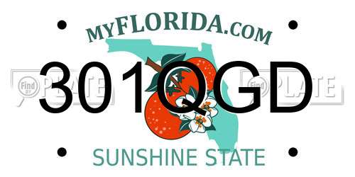 301QGD Florida License Plate