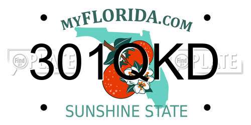 301QKD Florida License Plate