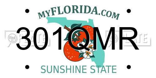 301QMR Florida License Plate
