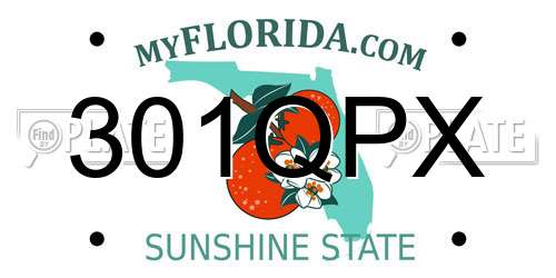 301QPX Florida License Plate