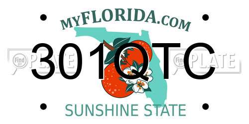 301QTC Florida License Plate
