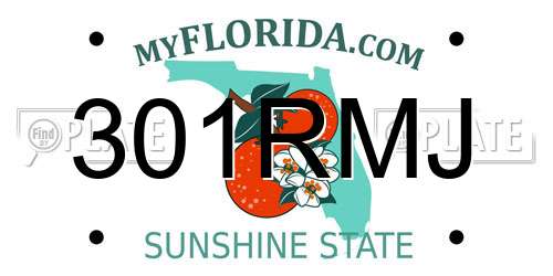 301RMJ Florida License Plate