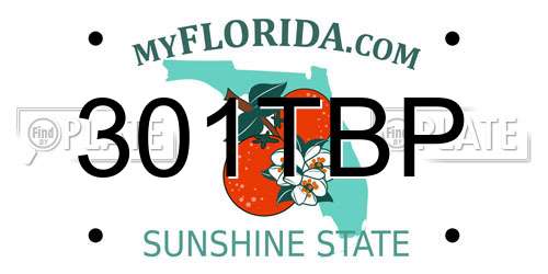 301TBP Florida License Plate