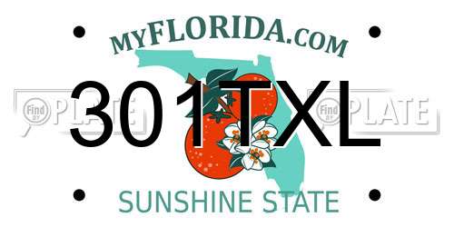 301TXL Florida License Plate