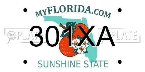 301XA Florida License Plate