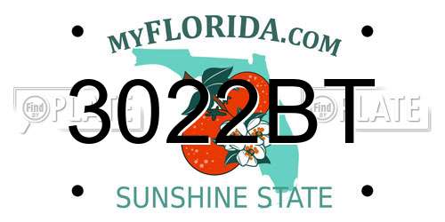 3022BT Florida License Plate