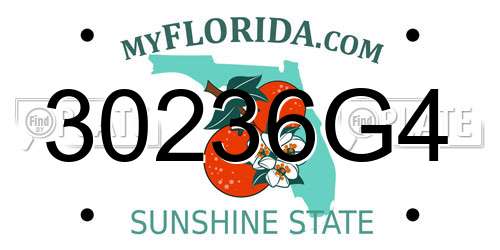 30236G4 Florida License Plate