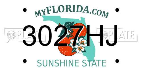 3027HJ Florida License Plate