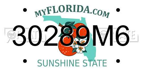30289M6 Florida License Plate