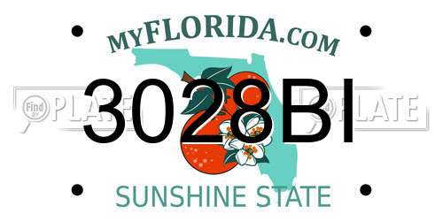 3028BI Florida License Plate