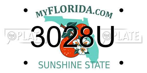 3028U Florida License Plate