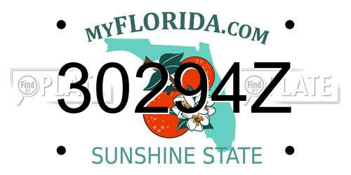 30294Z Florida License Plate