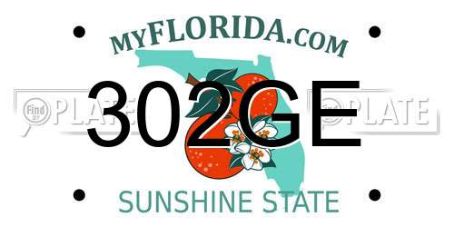 302GE Florida License Plate