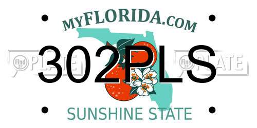 302PLS Florida License Plate