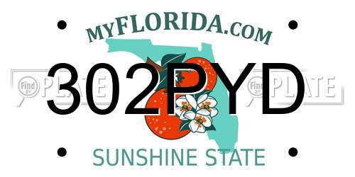 302PYD Florida License Plate