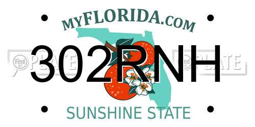 302RNH Florida License Plate