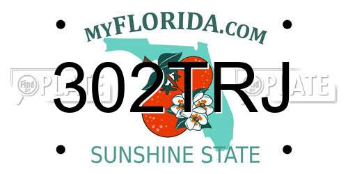 302TRJ Florida License Plate