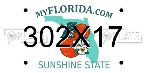 302X17 Florida License Plate