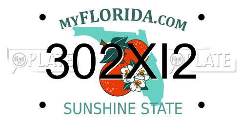302XI2 Florida License Plate