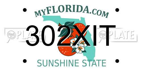 302XIT Florida License Plate