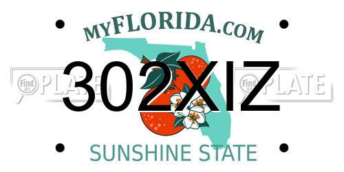 302XIZ Florida License Plate