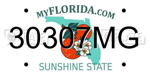 30307MG Florida License Plate