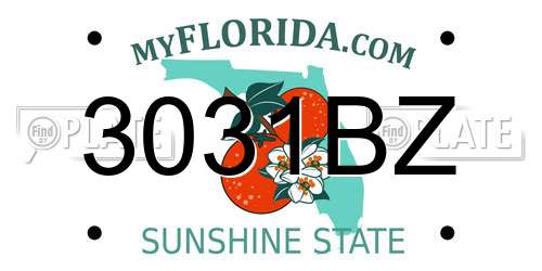 3031BZ Florida License Plate