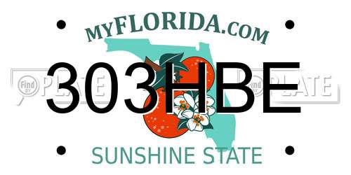 303HBE Florida License Plate