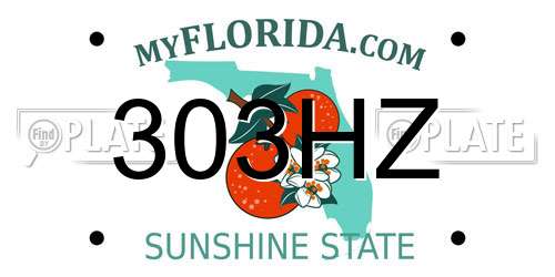 303HZ Florida License Plate