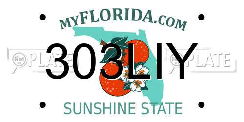 303LIY Florida License Plate