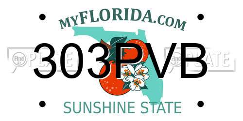 303PVB Florida License Plate