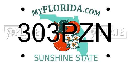 303PZN Florida License Plate