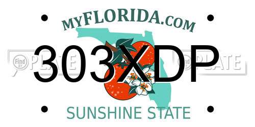 303XDP Florida License Plate